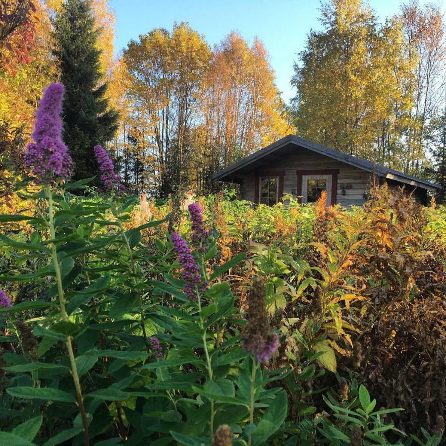 Cabin On Husky Farm Strömsund Εξωτερικό φωτογραφία